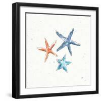 Maritime XII-Daphne Brissonnet-Framed Art Print