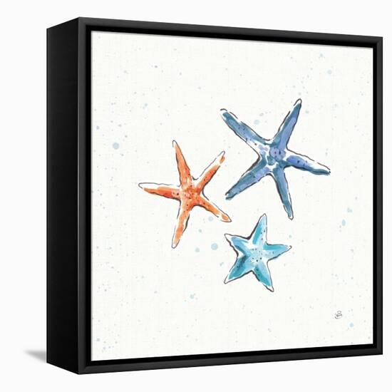 Maritime XII-Daphne Brissonnet-Framed Stretched Canvas