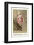 Marius-Philippe Debongnie-Framed Giclee Print