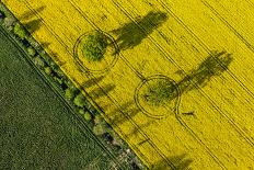 Aerial View of Harvest Field-Mariusz Szczygiel-Photographic Print