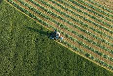 Aerial View of Harvest Field-Mariusz Szczygiel-Photographic Print