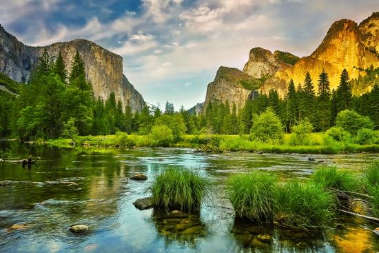 Premium Photographic Print, , large
