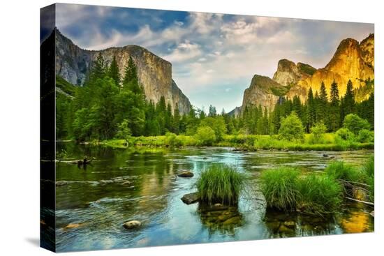 Stretched Canvas Print, , large