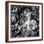 Brown Frame