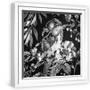 White Frame