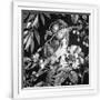 Gramercy White