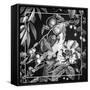Canvas Black