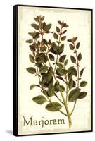 Marjoram antique-The Saturday Evening Post-Framed Stretched Canvas