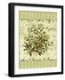 Marjoram-Kate Ward Thacker-Framed Giclee Print