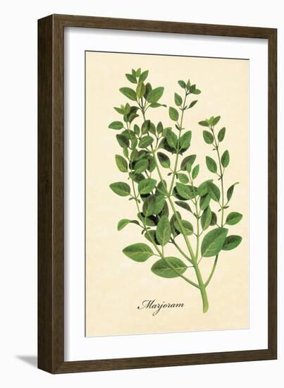 Marjoram-The Saturday Evening Post-Framed Giclee Print