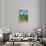 Marjorelle Cactus, 2004-Larry Smart-Framed Giclee Print displayed on a wall