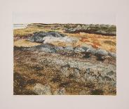 Moshup Trail II-Marjorie Mason-Limited Edition