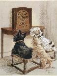 Three Dogs Enjoy a Radio Broadcast-Marjorie Turner-Framed Photographic Print