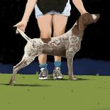Boston Terrier, 2008-Marjorie Weiss-Giclee Print