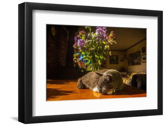 Photographic Print, , large