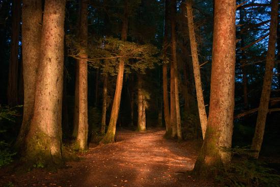 Photographic Print, , large