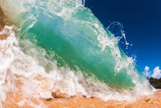 Premium Photographic Print, , large