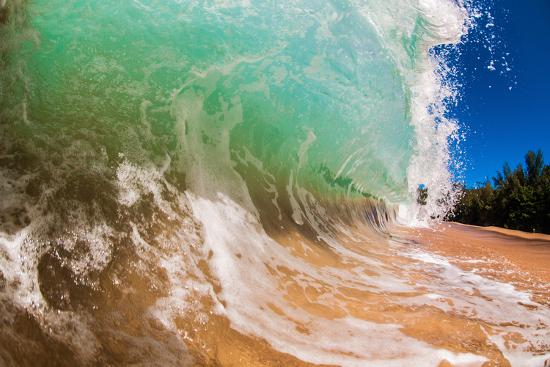 Premium Photographic Print, , large