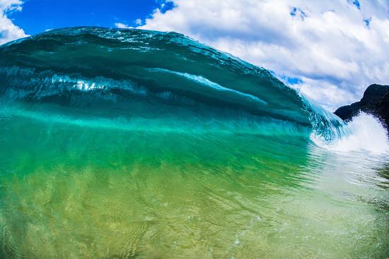 Premium Photographic Print, , large
