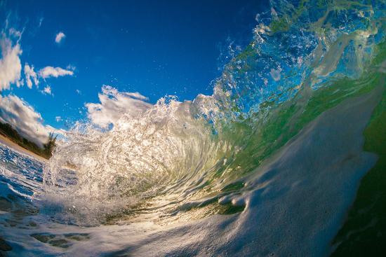 Premium Photographic Print, , large