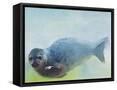Framed Canvas