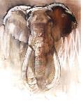 Elephant Bull-Mark Adlington-Giclee Print