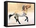 Framed Canvas