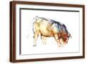Brown Frame