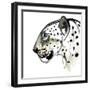 Black Frame