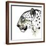Brown Frame