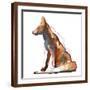 Brown Frame