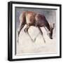 Black Frame