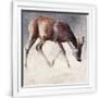 Gramercy White