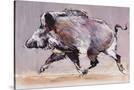 Stretched Canvas
