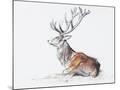 Wood Mount
