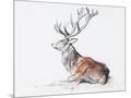 Wood Mount