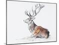 Wood Mount