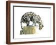 Brown Frame