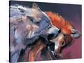 Stretched Canvas