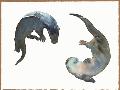 Just the Print