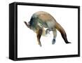 Framed Canvas