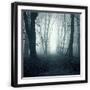 Black Frame