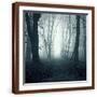 Brown Frame