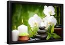 Essential Black