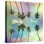 Stretched Canvas