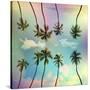 Stretched Canvas