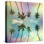 Stretched Canvas