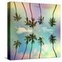 Stretched Canvas