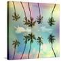 Stretched Canvas