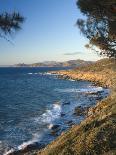 Flock of Sheep at Sunset by the Sea, Near Erice, Western Sicily, Italy, Europe-Mark Banks-Photographic Print